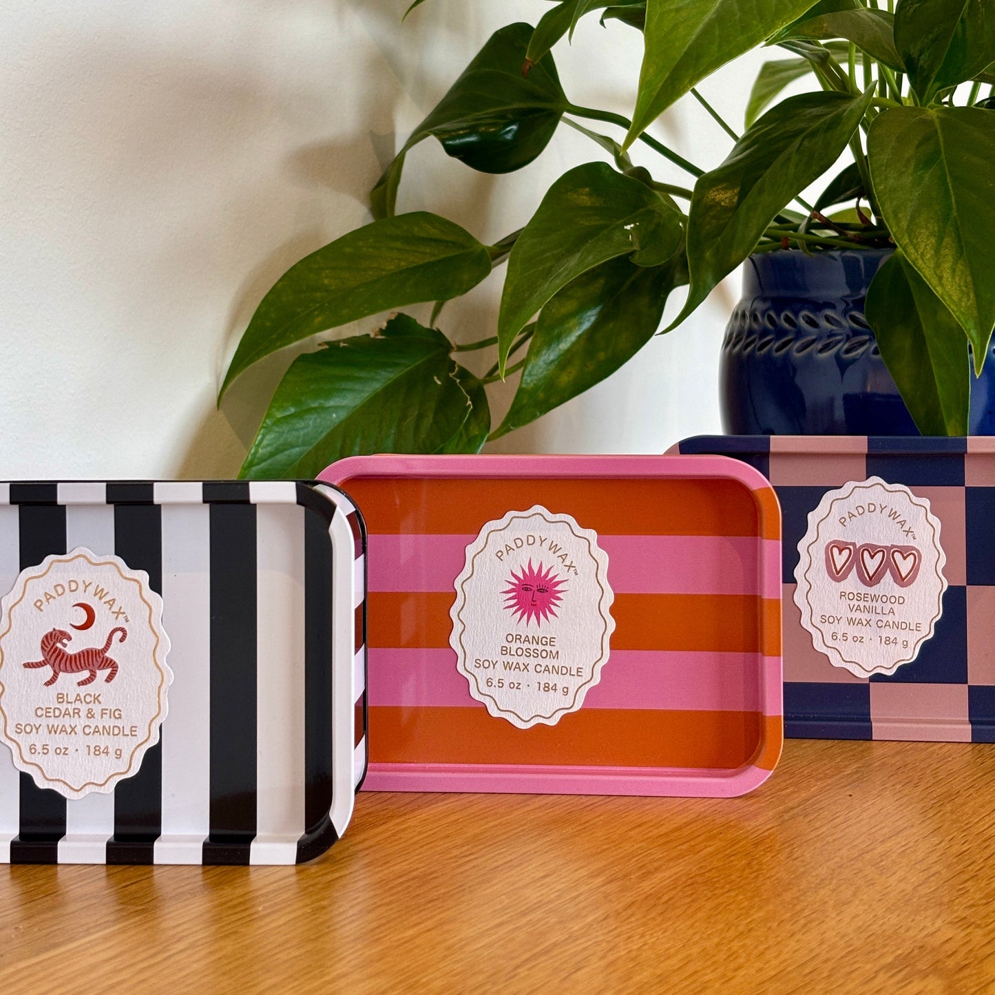 Black Cedar & Fig Printed Tin Candle