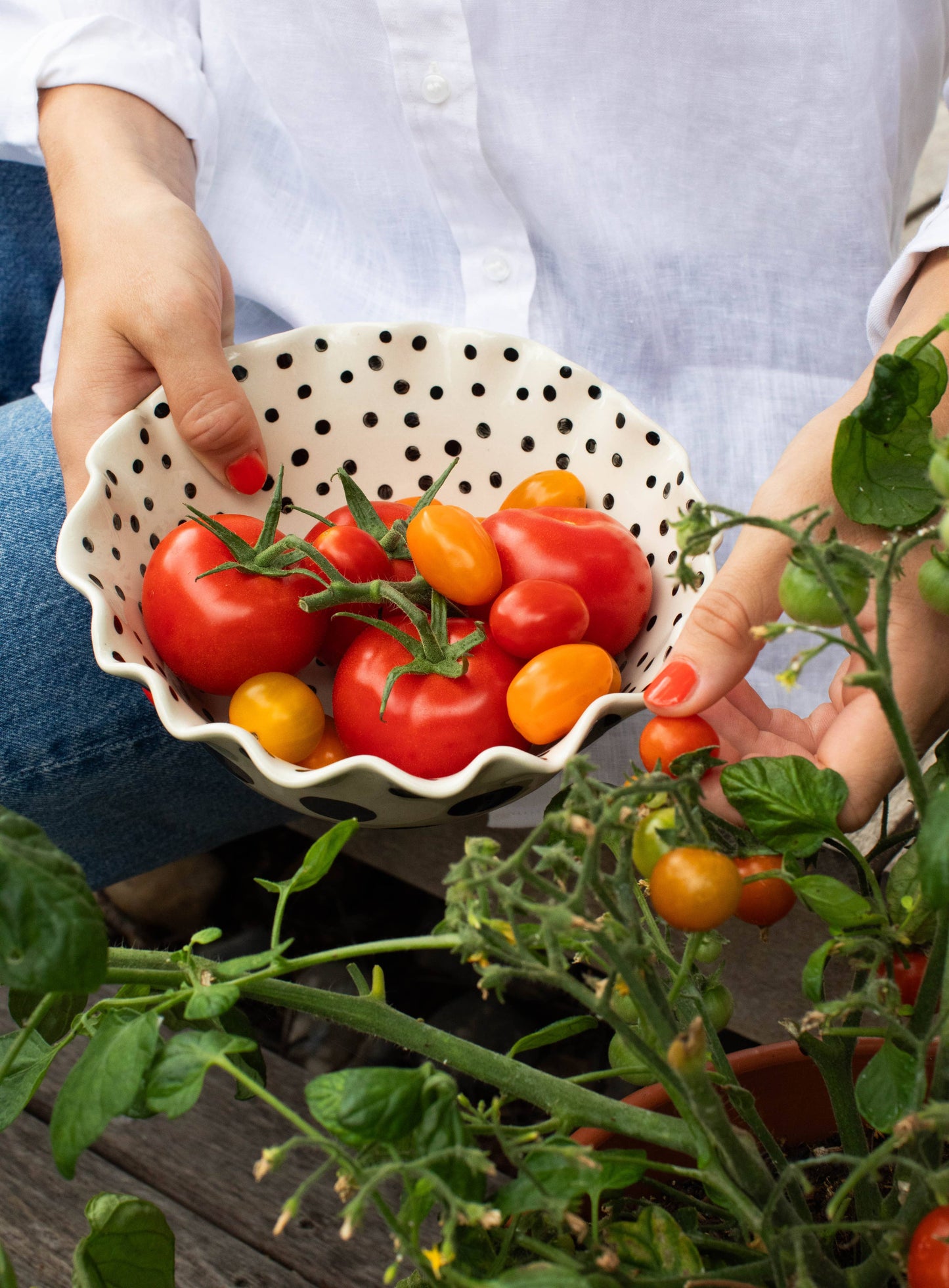 Caroline Gardner Mono Dots Large Frilly Bowl